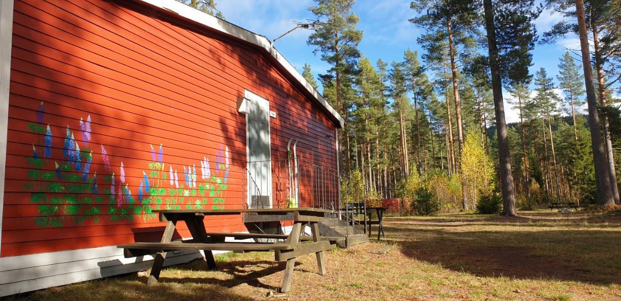 Hostel And Vandrarhem Lupin Naturcamping Lagom Gräsmark Dış mekan fotoğraf