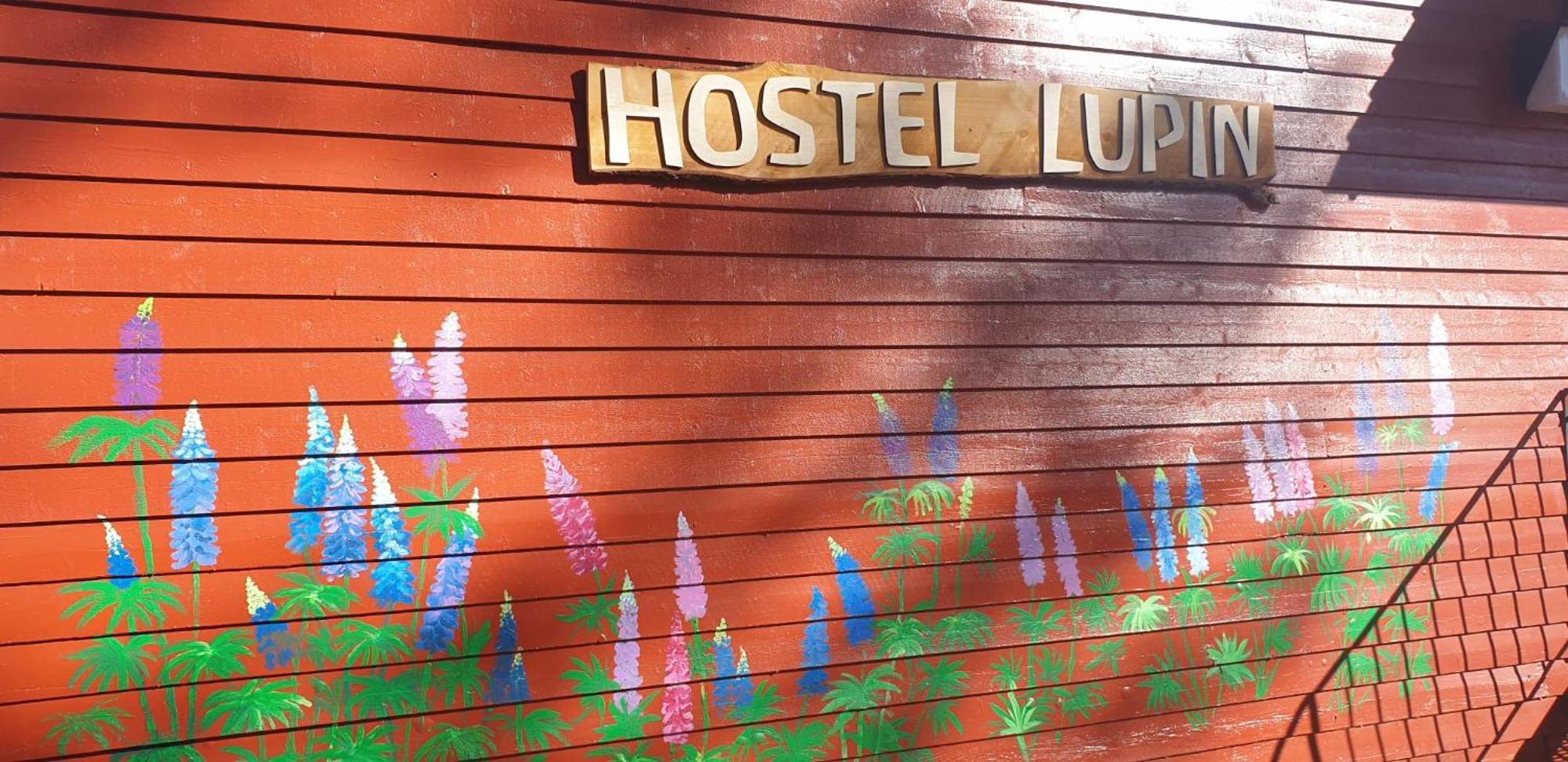 Hostel And Vandrarhem Lupin Naturcamping Lagom Gräsmark Dış mekan fotoğraf