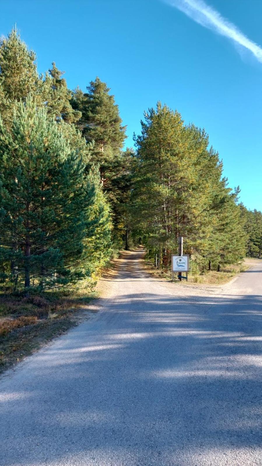 Hostel And Vandrarhem Lupin Naturcamping Lagom Gräsmark Dış mekan fotoğraf